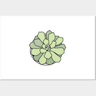 Green succulent Posters and Art